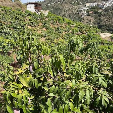 Competa Oct To Mar Reduced Deals *